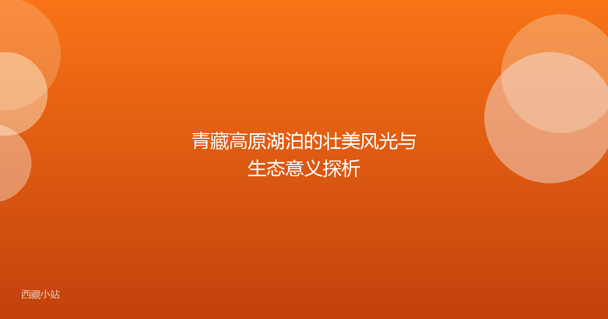 青藏高原湖泊的壮美风光与生态意义探析