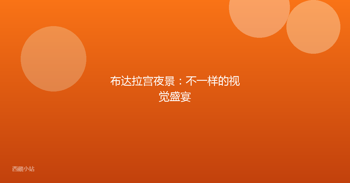 布达拉宫夜景：不一样的视觉盛宴