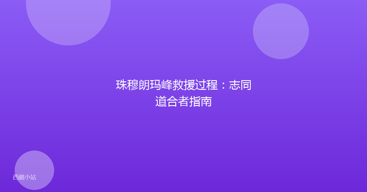 珠穆朗玛峰救援过程:志同道合者指南