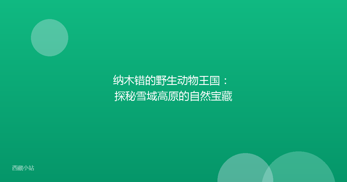 纳木错的野生动物王国： 探秘雪域高原的自然宝藏