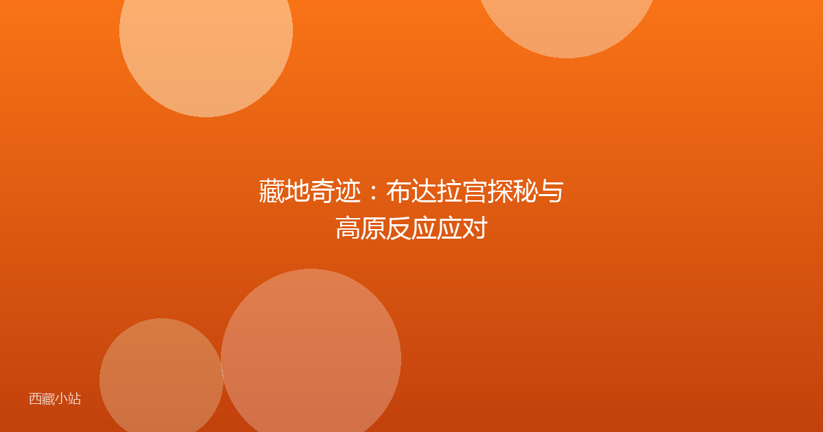 藏地奇迹：布达拉宫探秘与高原反应应对