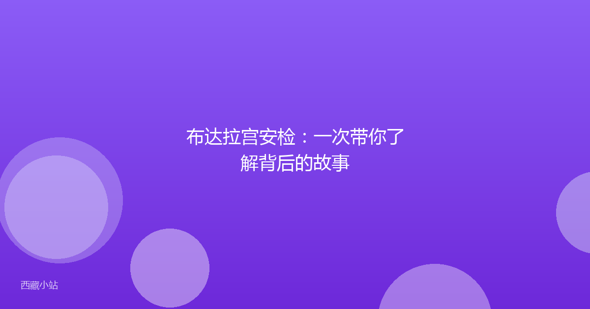 布达拉宫安检:一次带你了解背后的故事