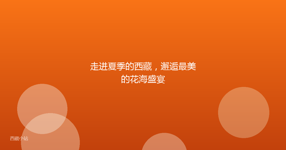 走进夏季的西藏,邂逅最美的花海盛宴