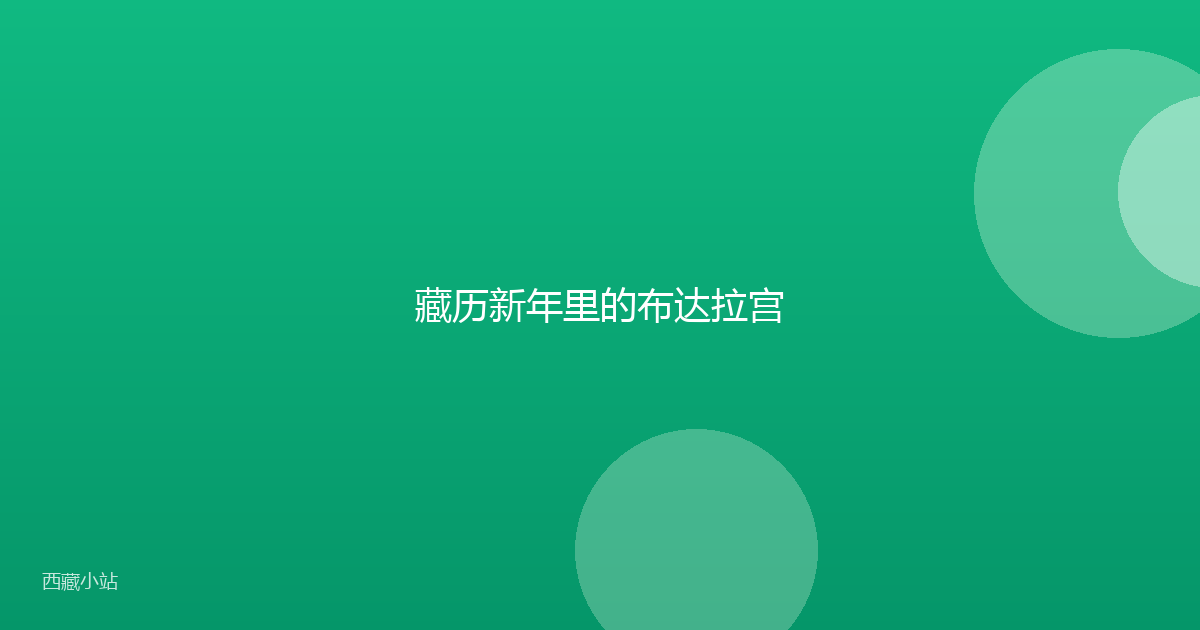 藏历新年里的布达拉宫