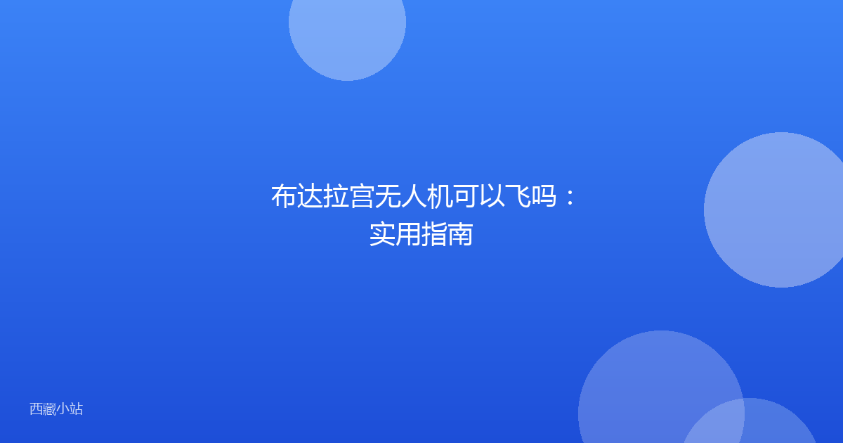 布达拉宫无人机可以飞吗：实用指南