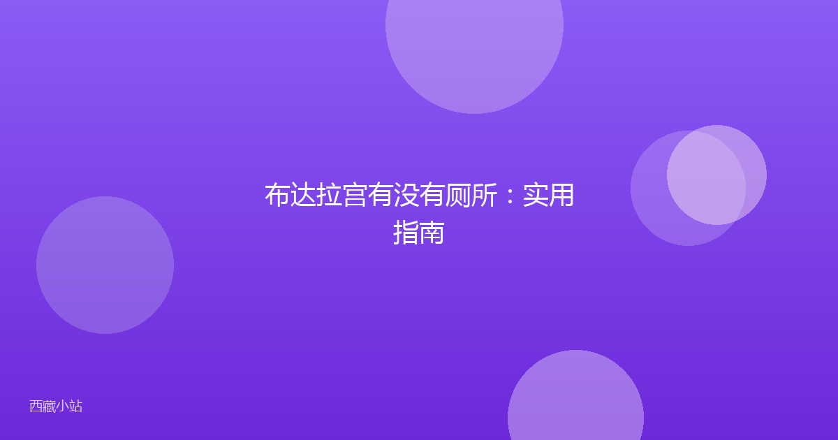 布达拉宫有没有厕所：实用指南