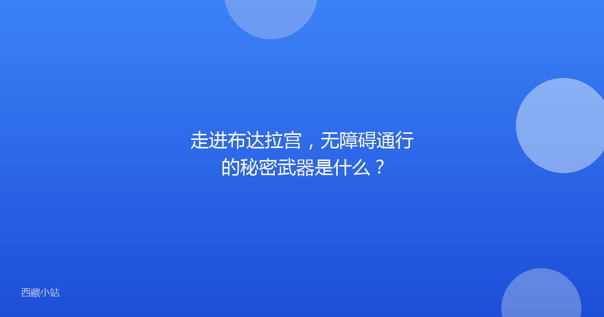 走进布达拉宫，无障碍通行的秘密武器是什么？