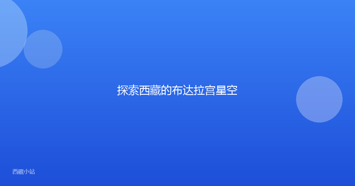 探索西藏的布达拉宫星空